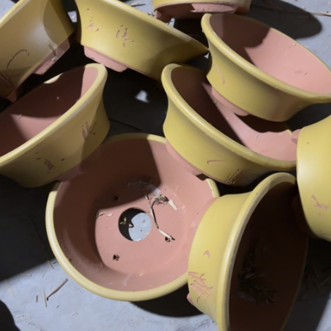 100-9。       23.5-8.5