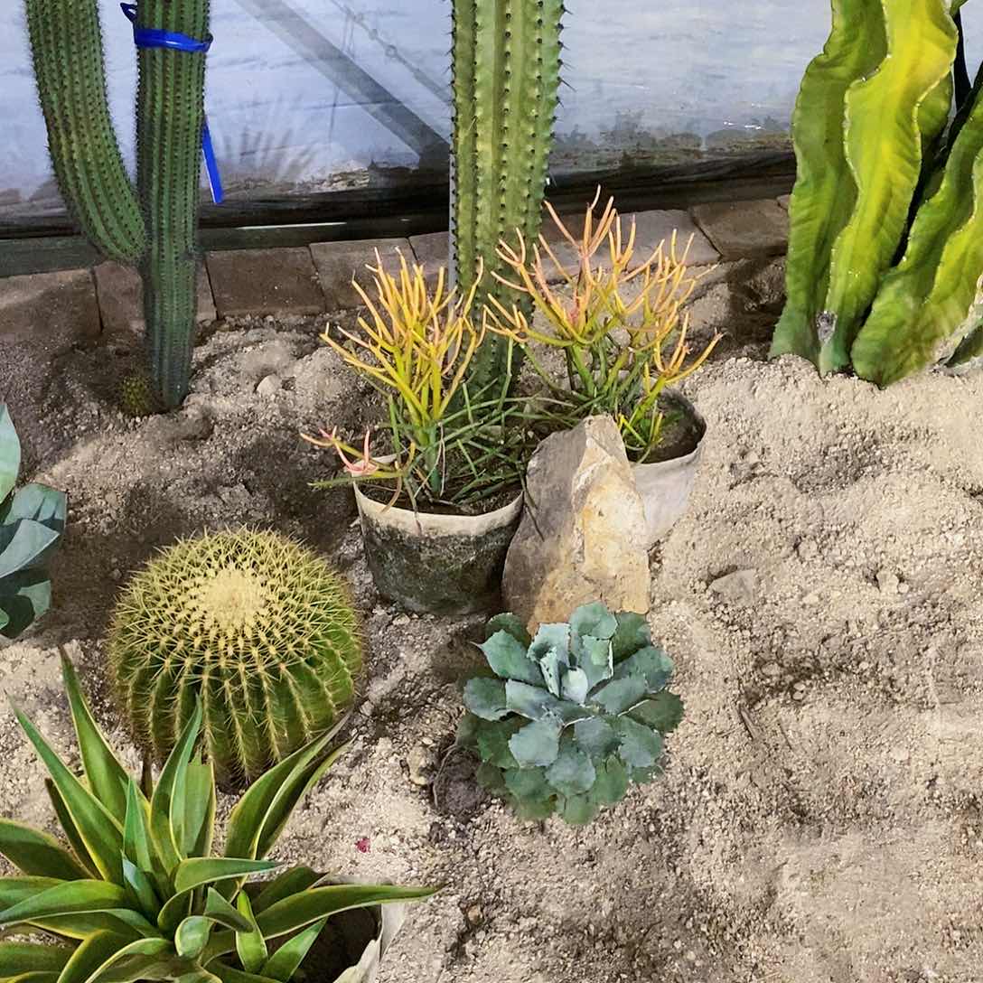 丰**学光棍球一颗11111111