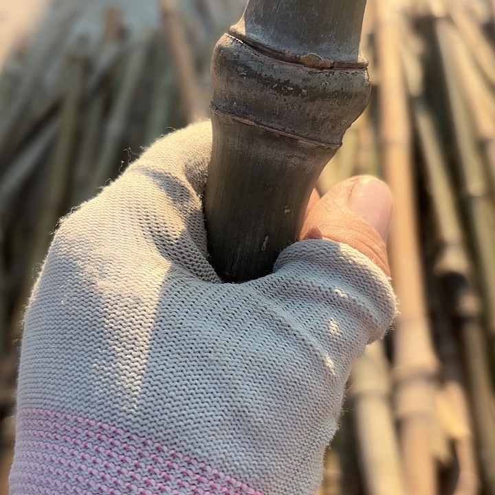 花***！实心竹竹竹竹竹竹竹竹