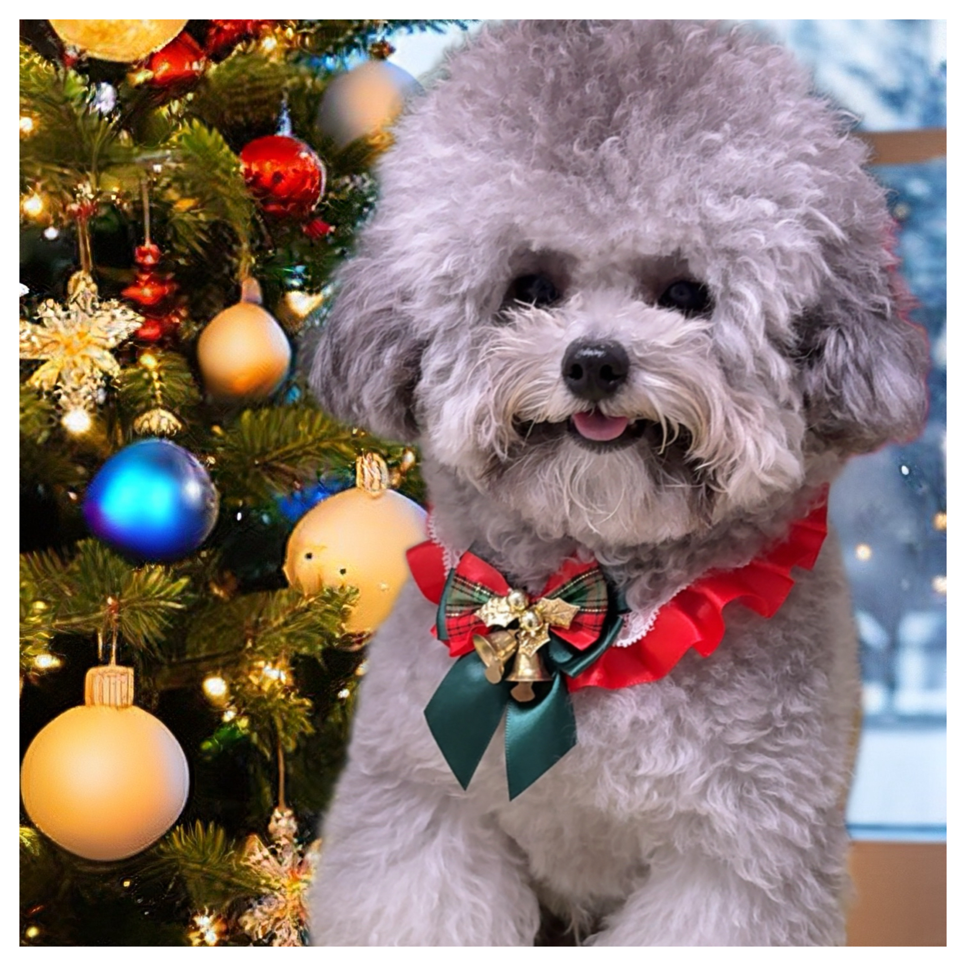 宠物圣诞节围脖猫咪狗狗蕾丝蝴蝶结新年项圈口水巾可爱气质围兜