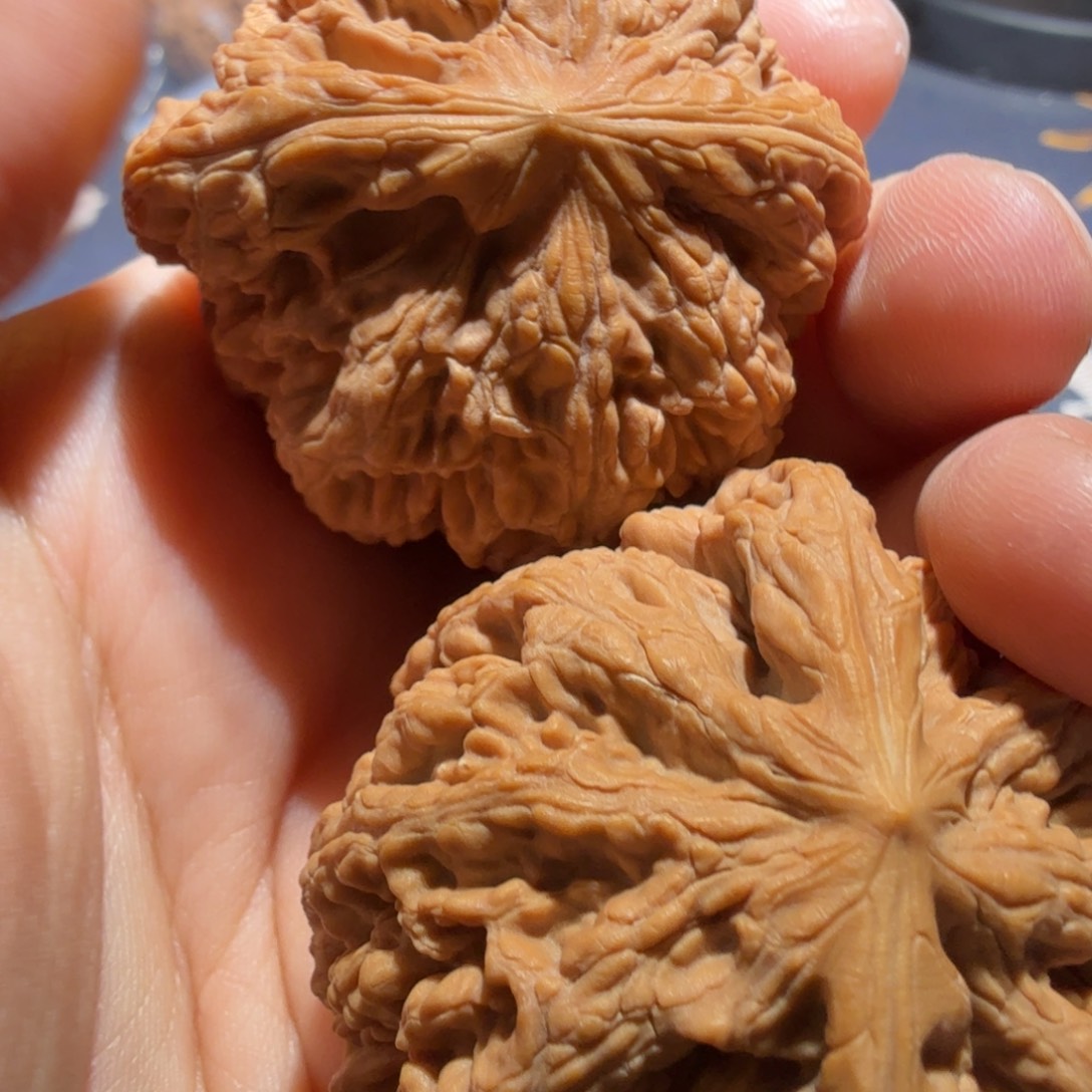 明***.把件文玩核桃粗筋