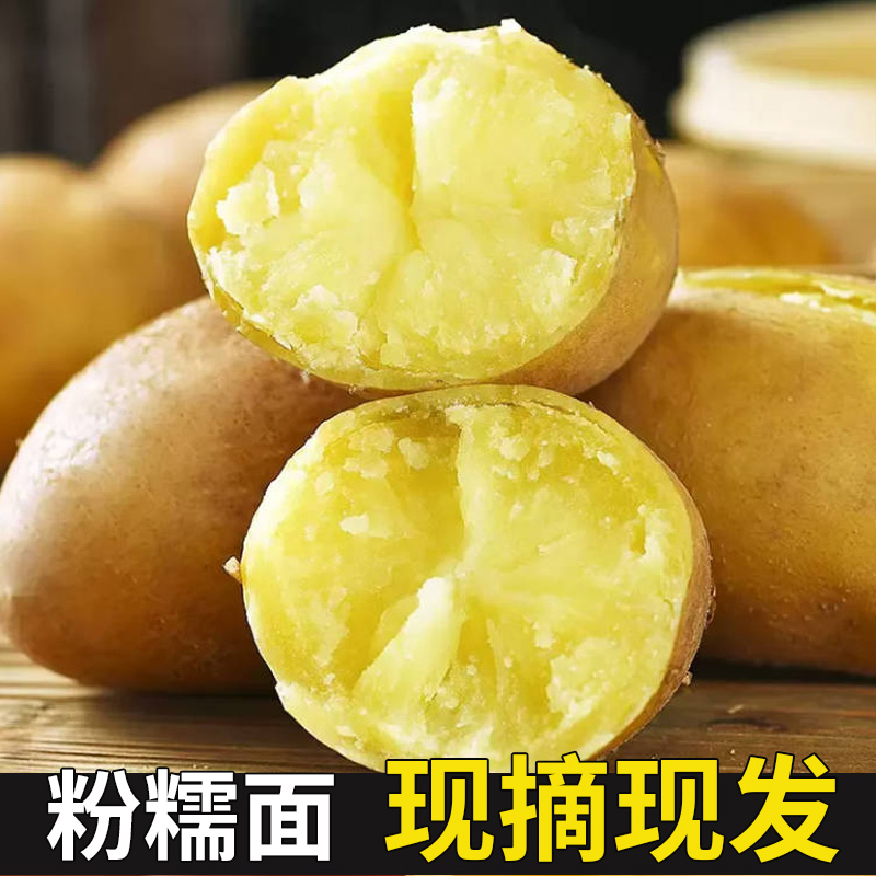 【小吕家补贴】黄心黄皮土豆9斤装沙地新鲜现挖黄心土豆软糯粉面