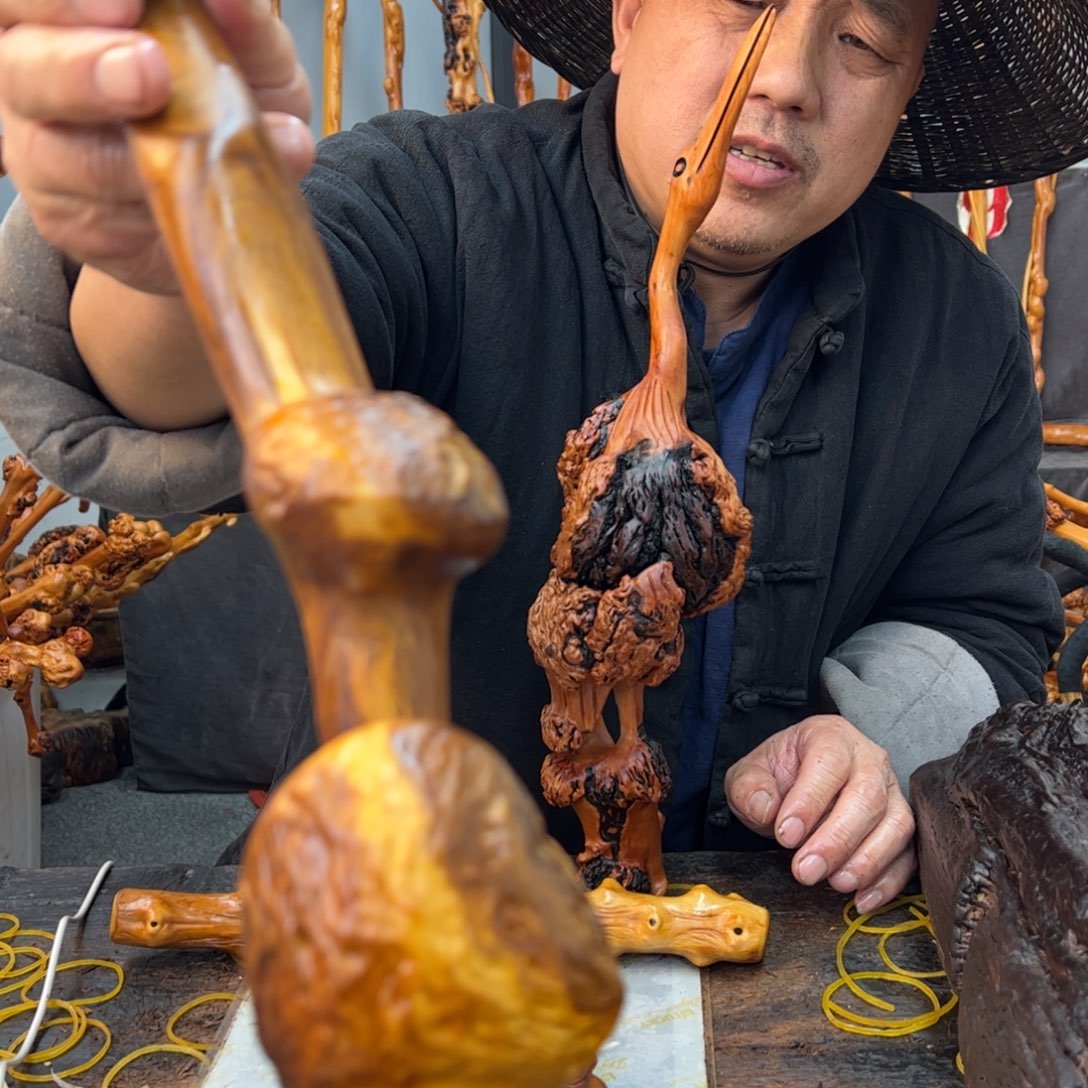 黑果木其他一*草黑果木487