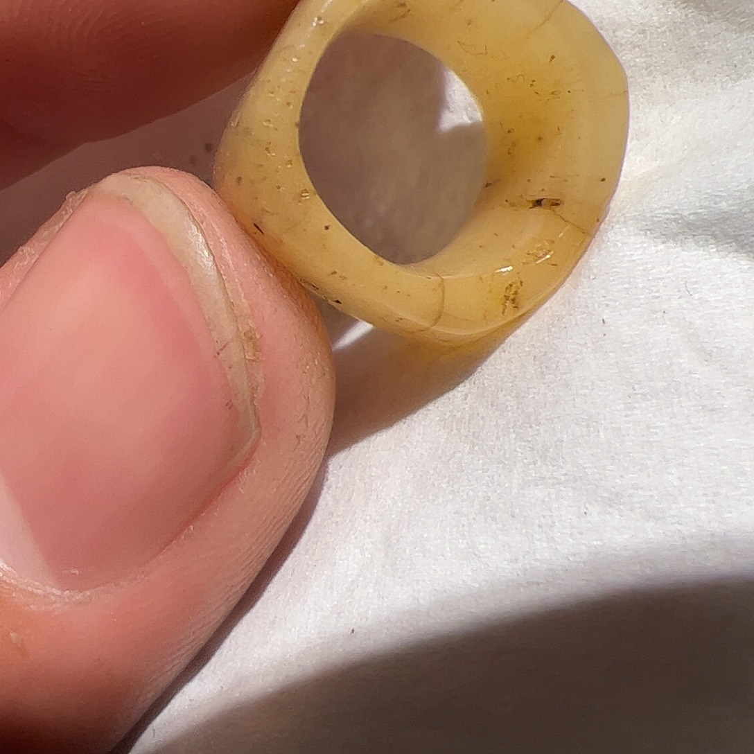 香榧木你的时候你