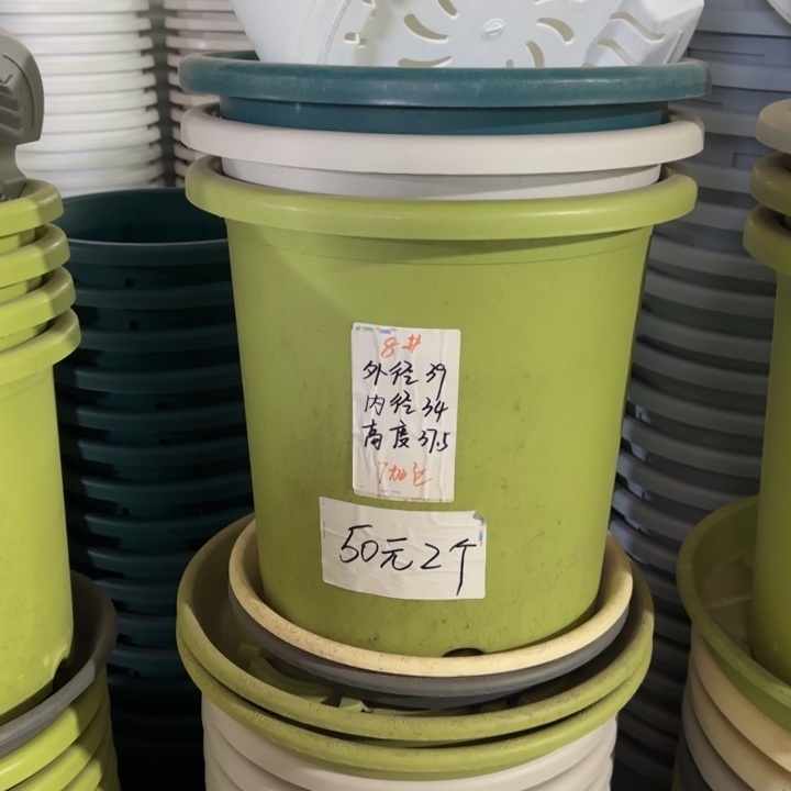 微瑕8#口径39无托果绿5个