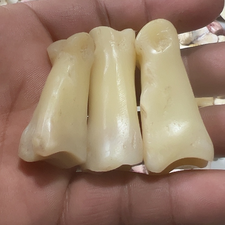 ༺***༻花岗石铁合金养殖鹿骨制作工艺品