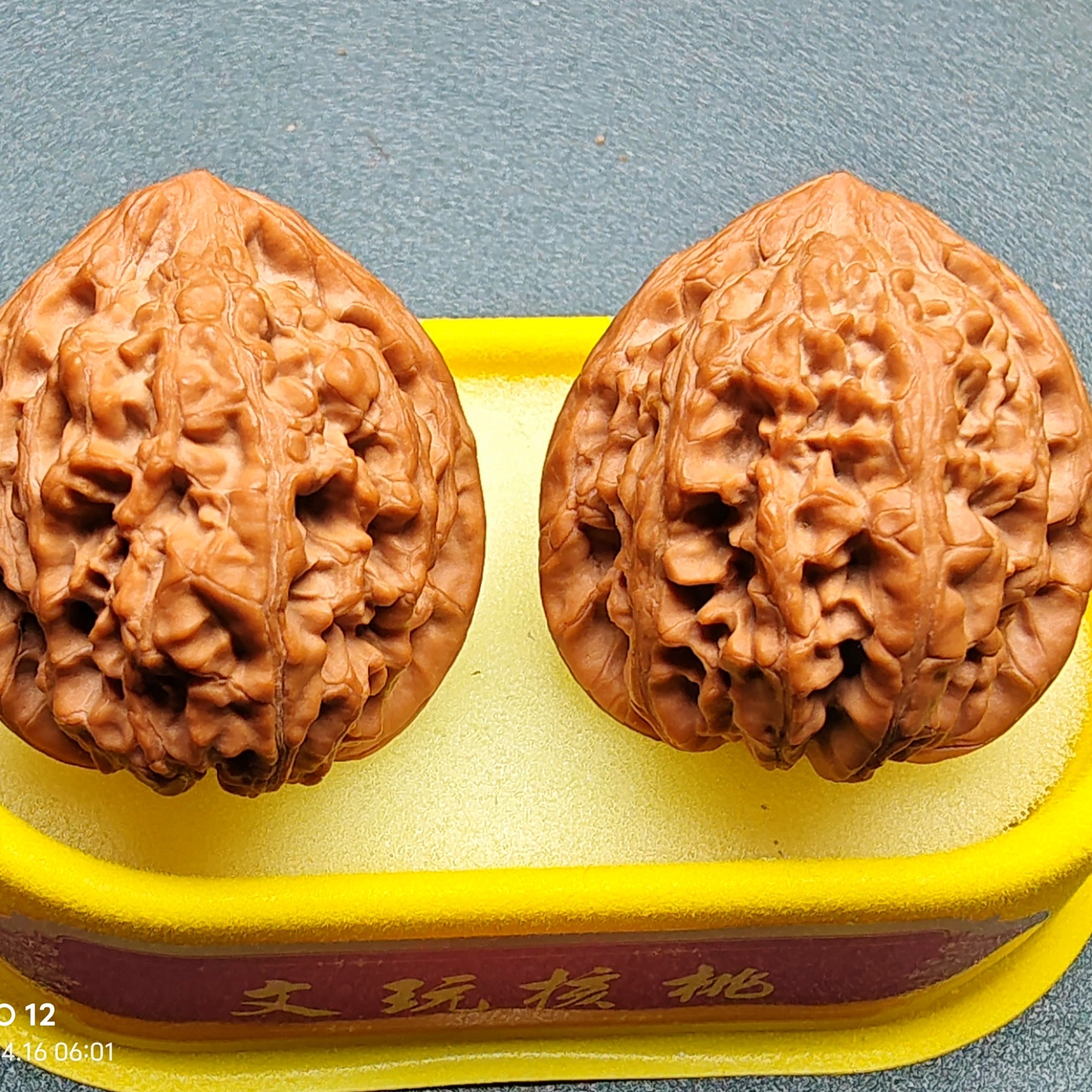 苹果园狮子头41尺全家福