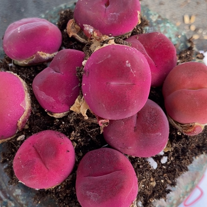 2348一组一组一组