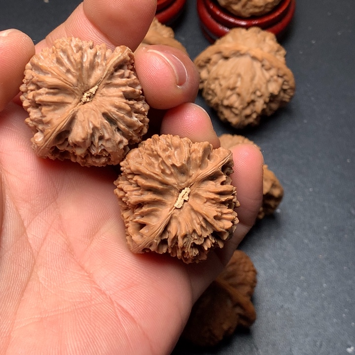 文玩核桃把件37满天星1157