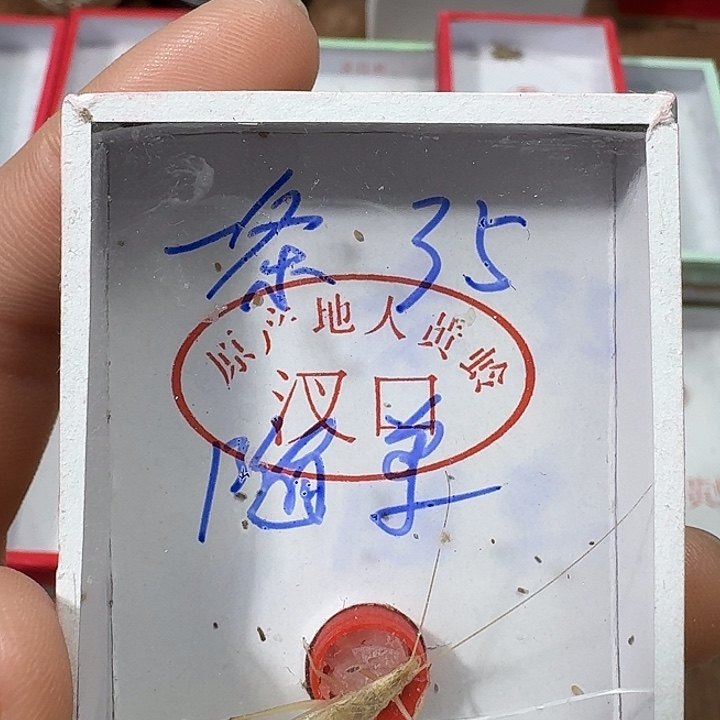 梦***实蟋蟀222222222222222222