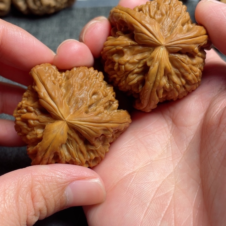 工艺三棱白狮子三棱41