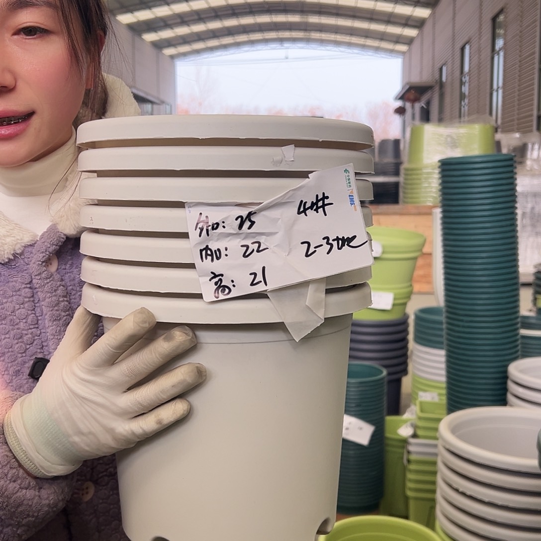 四季盆4#白色8个无托