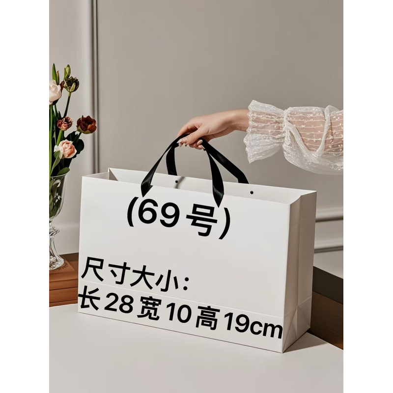 【69号】2025新款斜跨包carryall bb 1019#