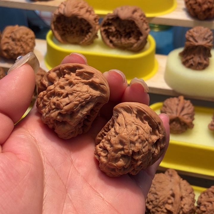 官方网站发布消息