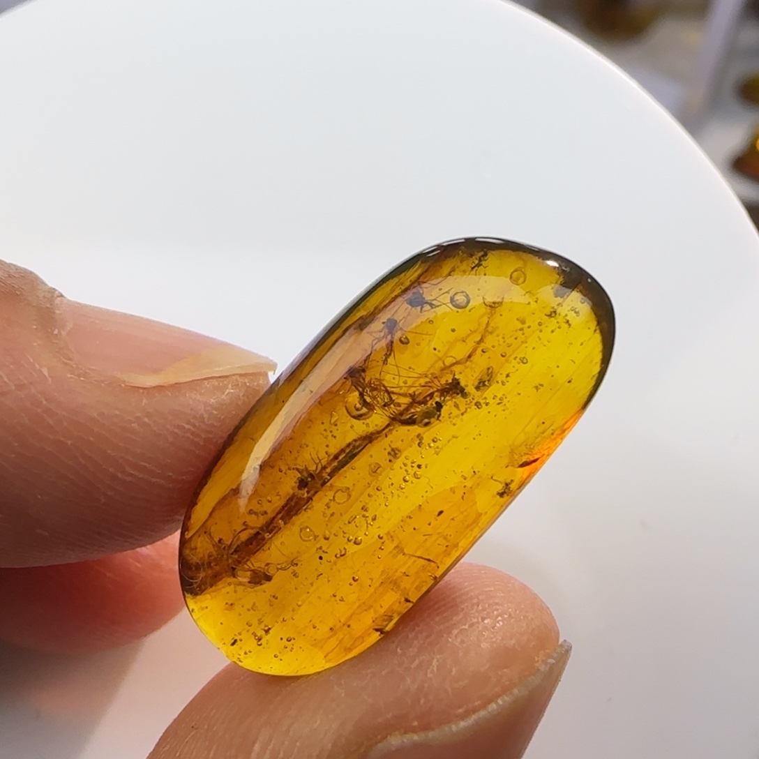 未镶嵌琥珀裸石虫珀标本