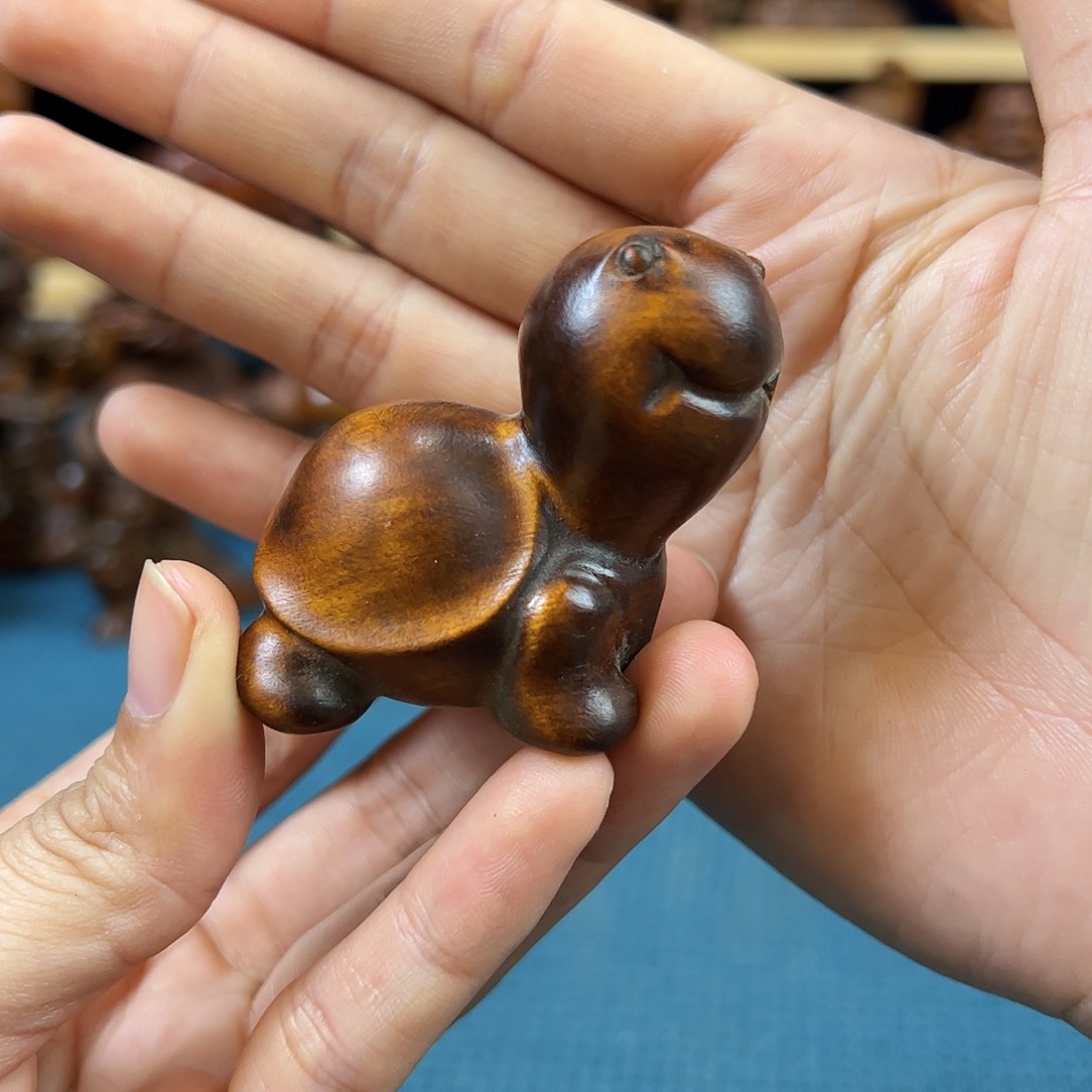 黄杨木小叶黄杨木