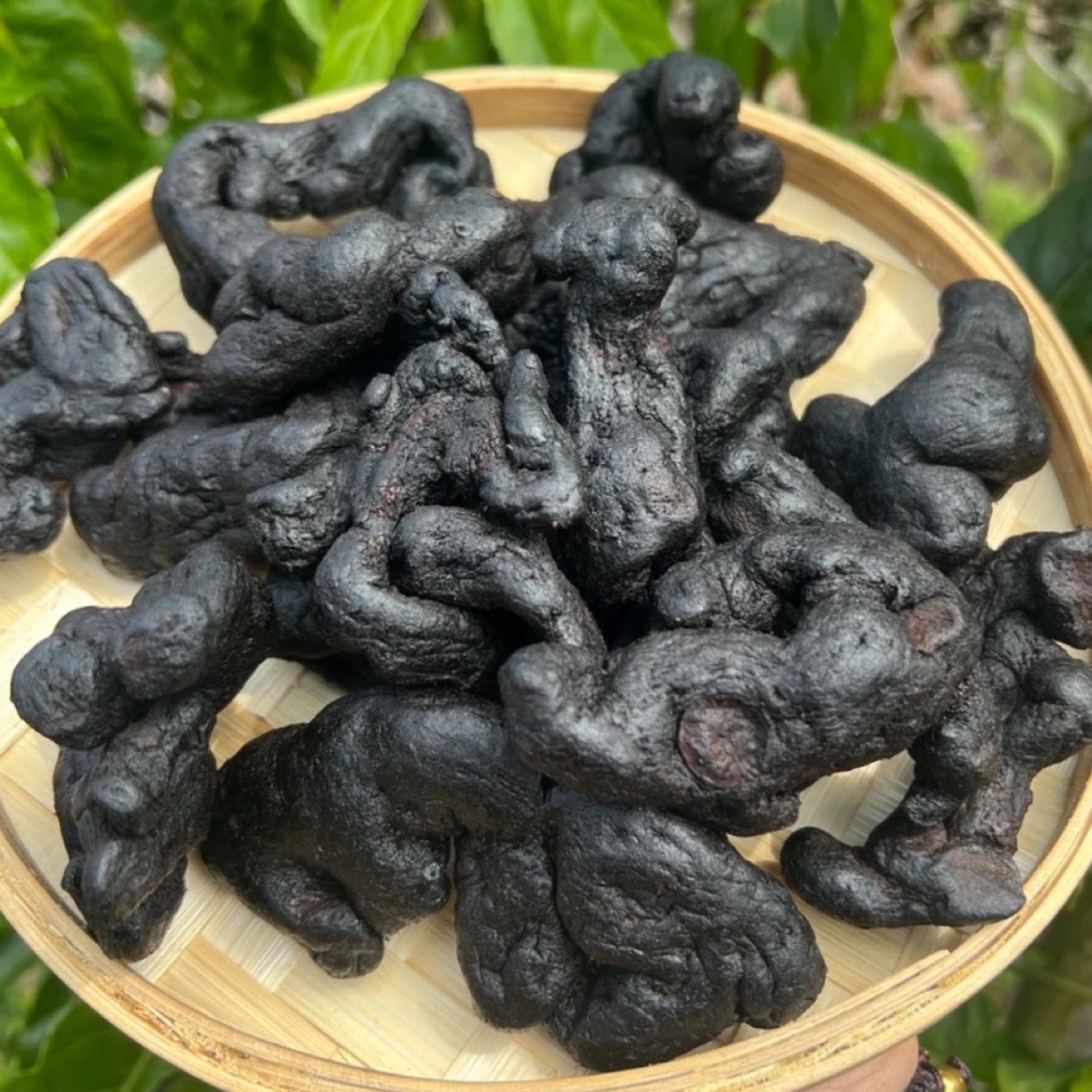 现收土特产 A35 搭配枸杞 农副产品食用