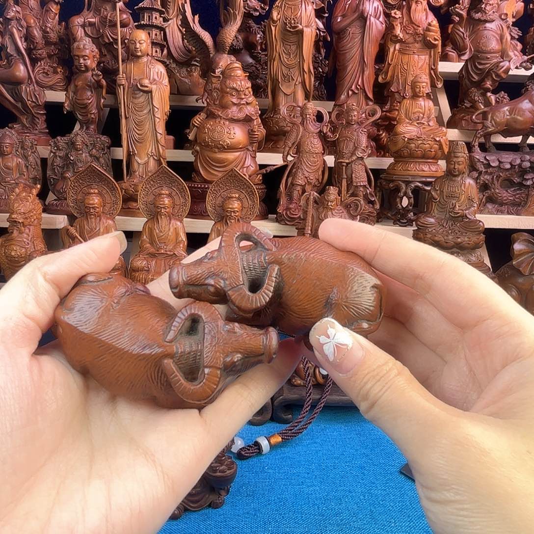 黄杨木小叶黄杨木