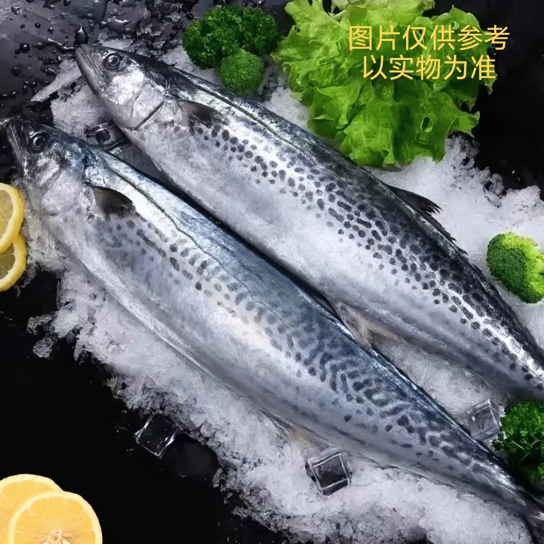 鲅鱼 马鲛鱼（4条鱼共4.5斤以上）速冻后发货