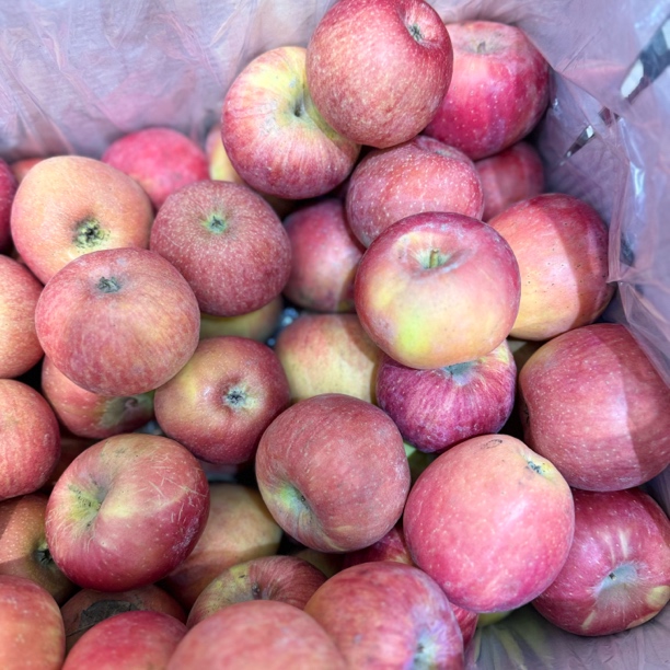 丑苹果   19.9元3斤