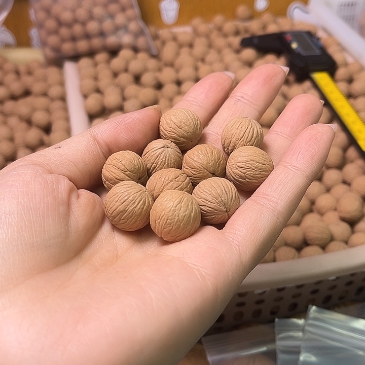 小***尾猴头核桃手串龙珠100颗