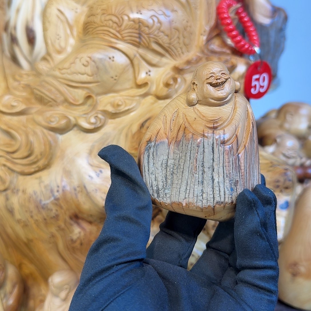 柏木（崖柏）666666666