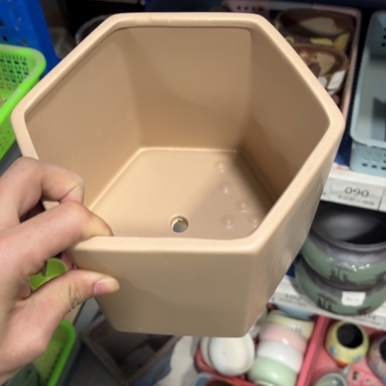 ［所有订单凑满15明天发］16×15
