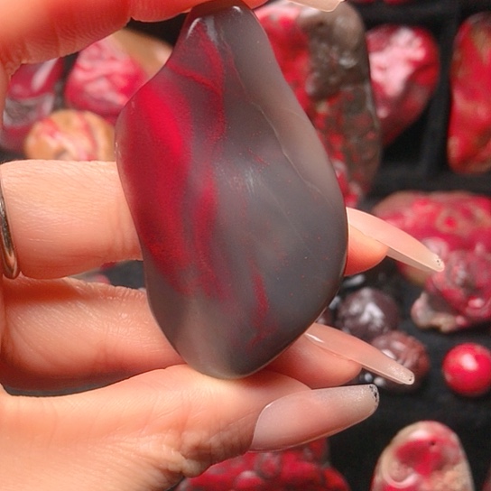 昌化鸡血石明**五昌化鸡血石精品原石