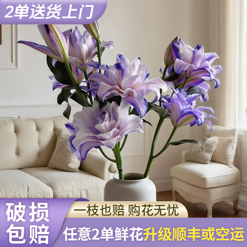 【源头优选】幽梦吸色重瓣香水百合花水养插花用云南直发鲜花