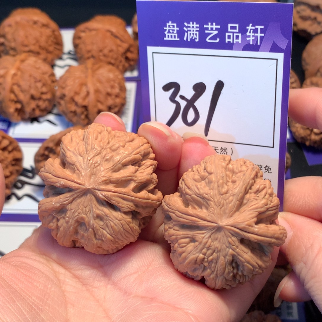 核桃381粗筋4.2全品