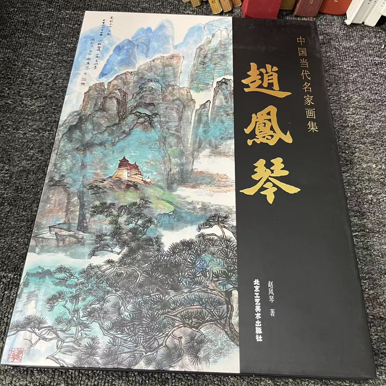 微瑕 赵凤琴画集 中国当代名家画集 北京工艺出版社