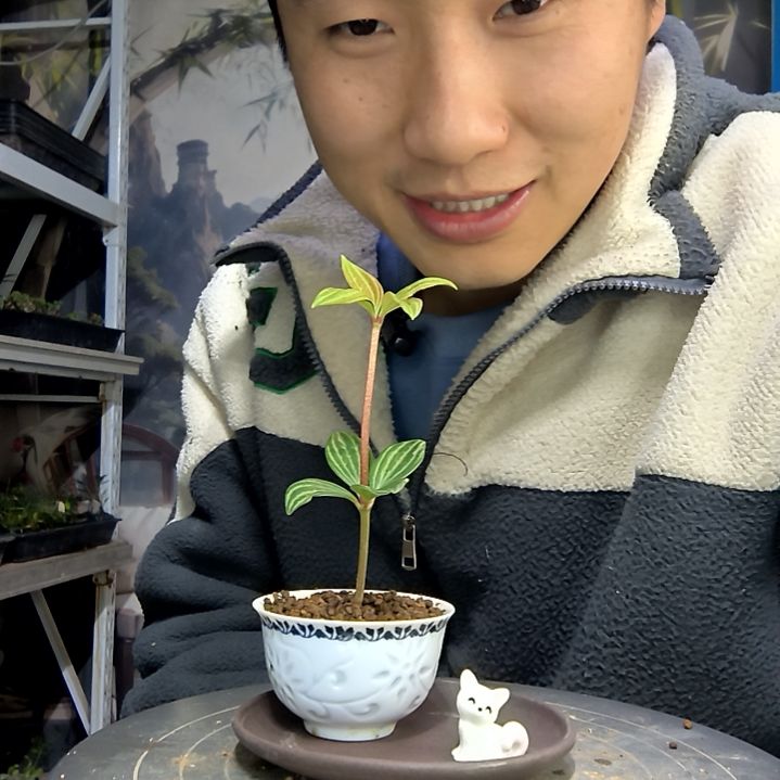 K****?中青园艺一物一拍花65