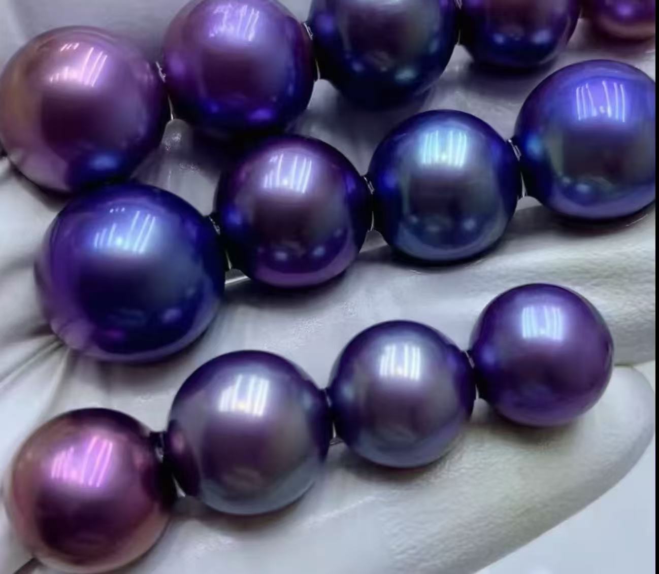 新！极光妖紫 绝绝子单珠 活体开蚌不退不换