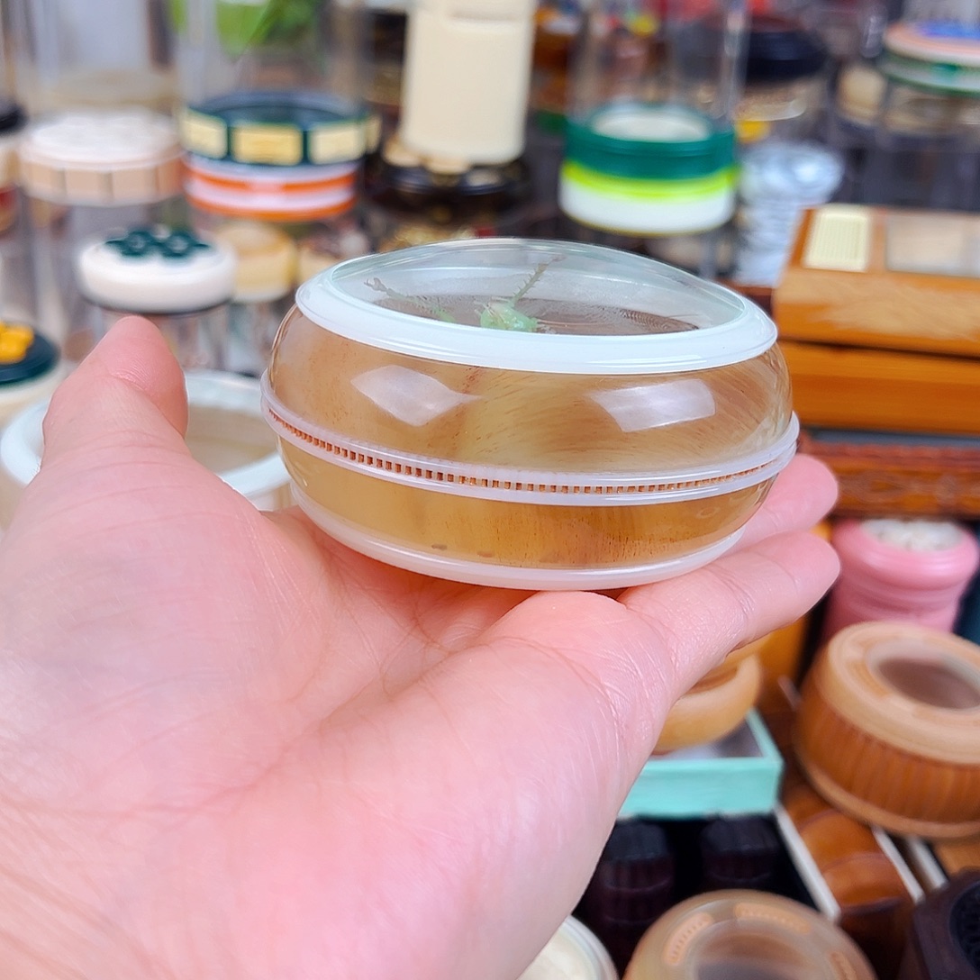 牛角大万体配扎嘴