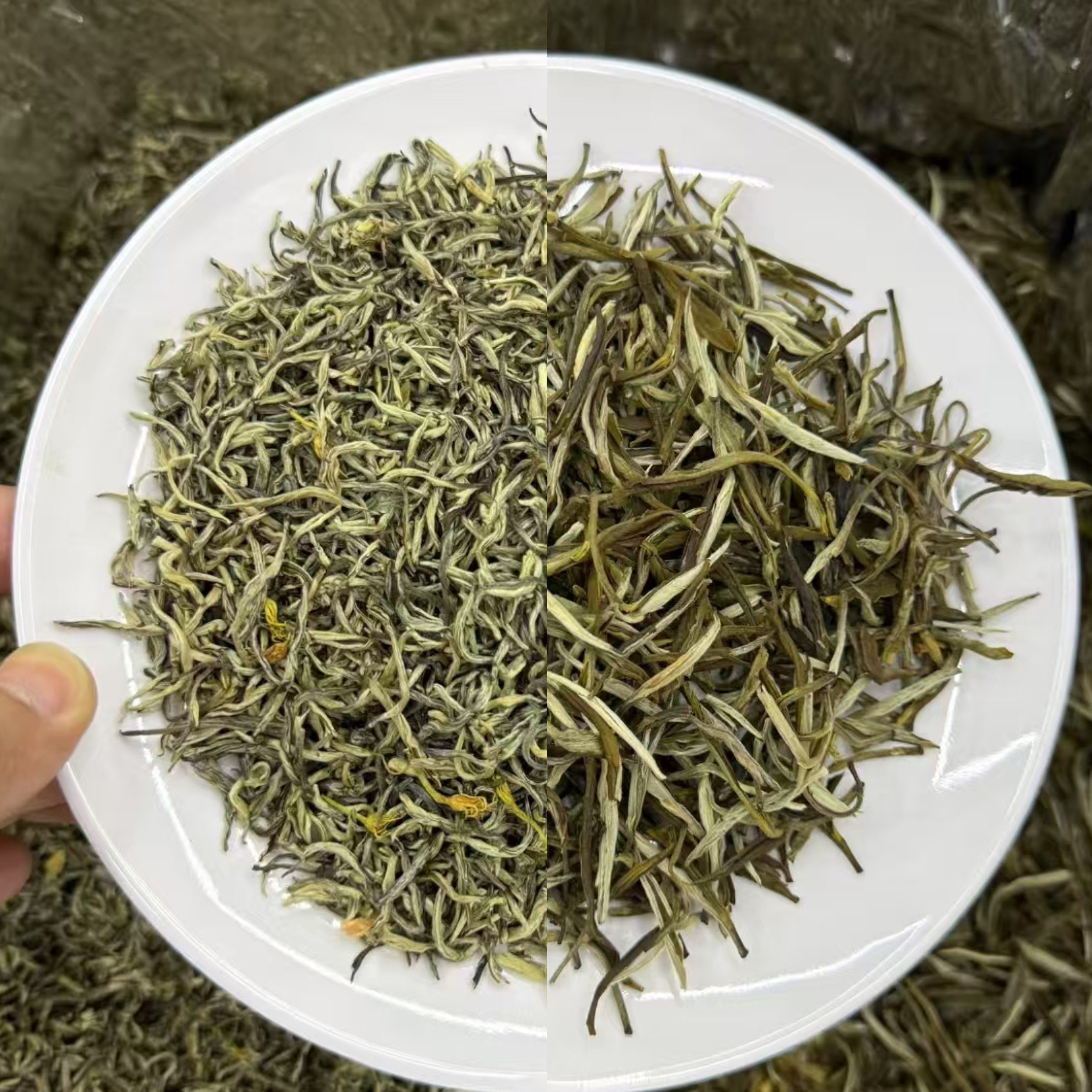 【双拼】国色天香+针王 茉莉花茶双拼实惠装特级新茶