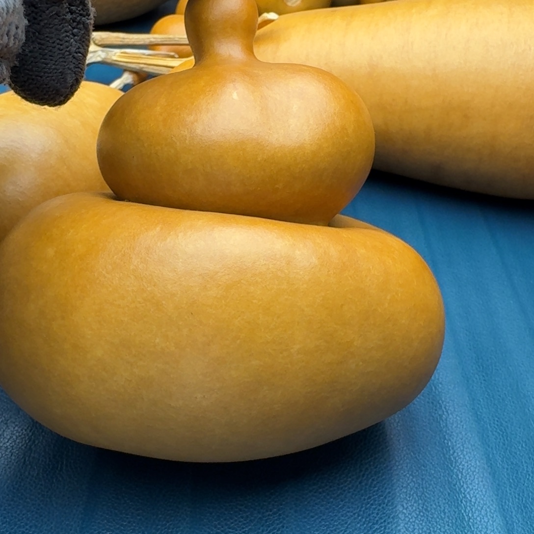 星***烂葫芦葫芦葫芦葫芦葫芦