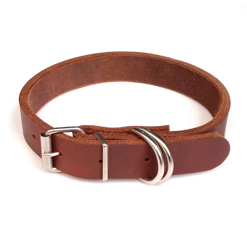 狗狗脖圈项圈幼犬使用