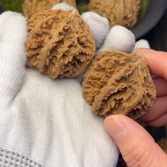 不***龄文玩核桃把件秦岭核桃9