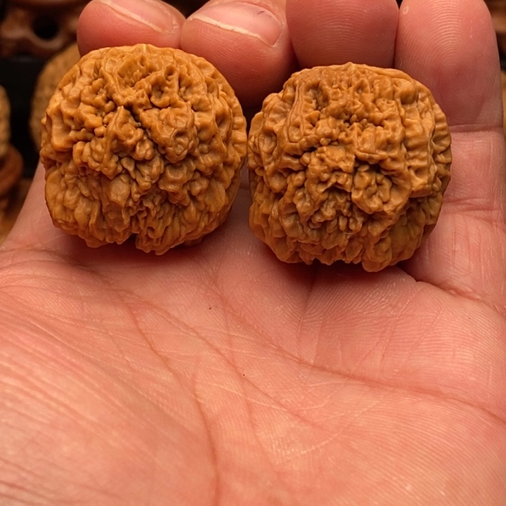 把件文玩核桃5舍利子