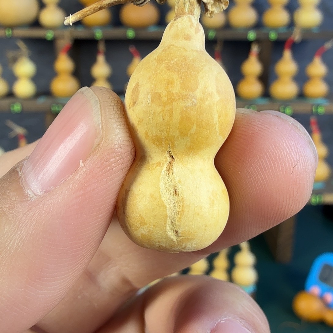 顾***天葫芦葫芦葫芦葫芦葫芦葫芦