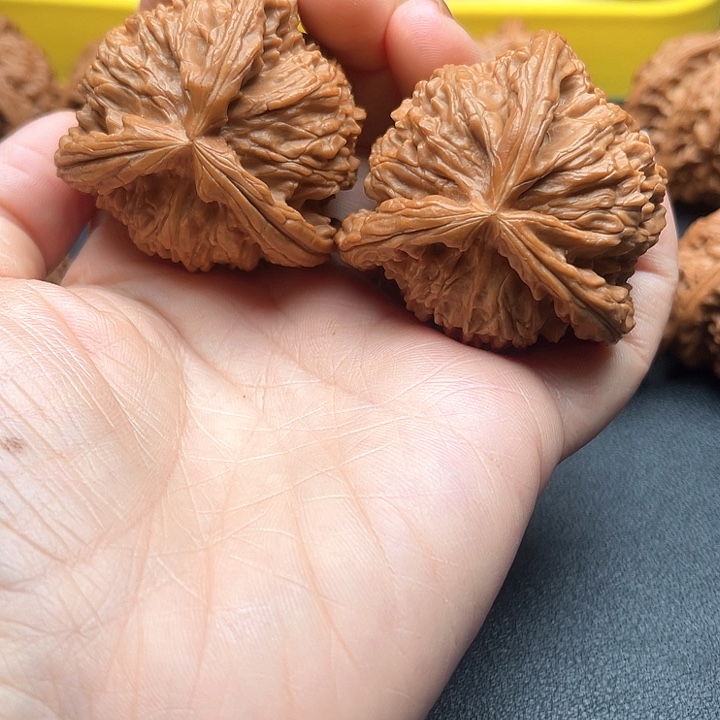 老***茶核桃47尺白狮子拼接三棱