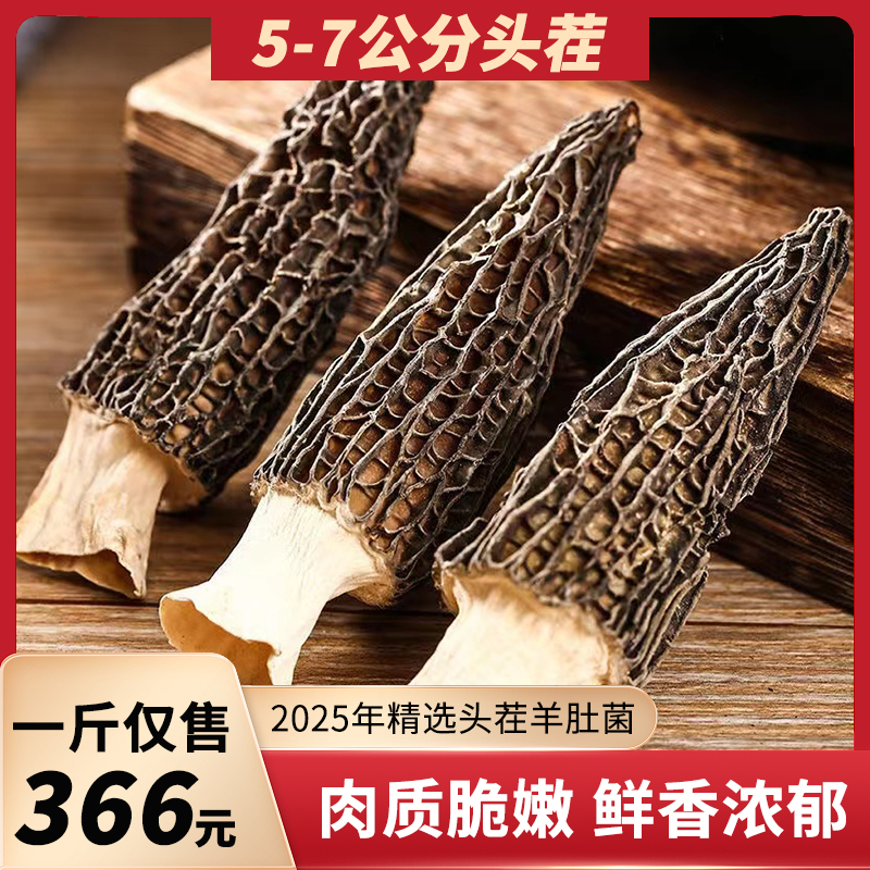 头茬羊肚菌5-7cm干货肉质云南羊肚菌正宗羊肚菌高品质羊肚菌新鲜