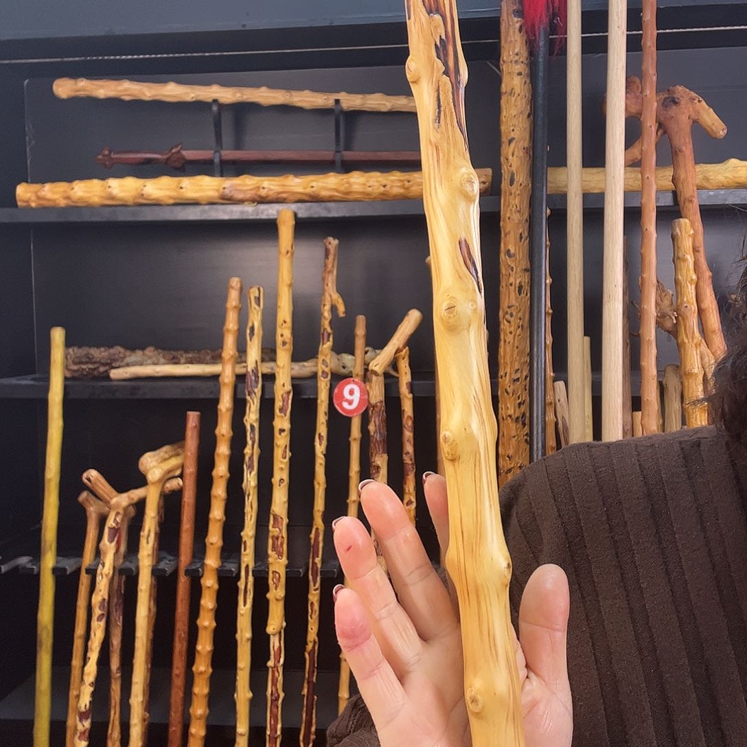 南对节南对家疤棍