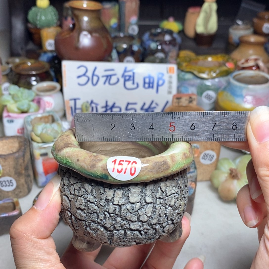 拍3送一个小礼物