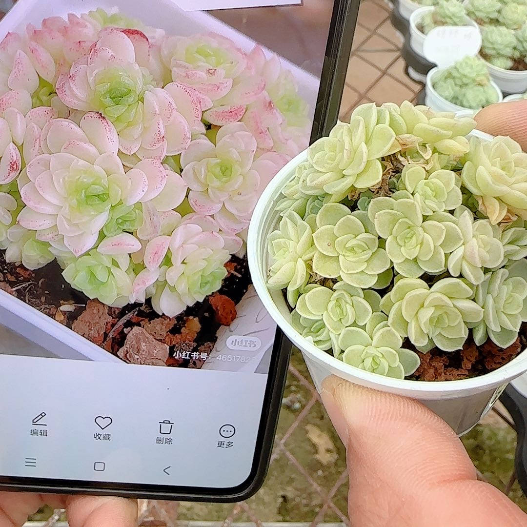 1028-48（p3-31）优选