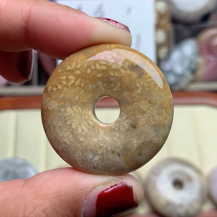 硅化珊瑚（珊瑚玉）颈饰未镶嵌