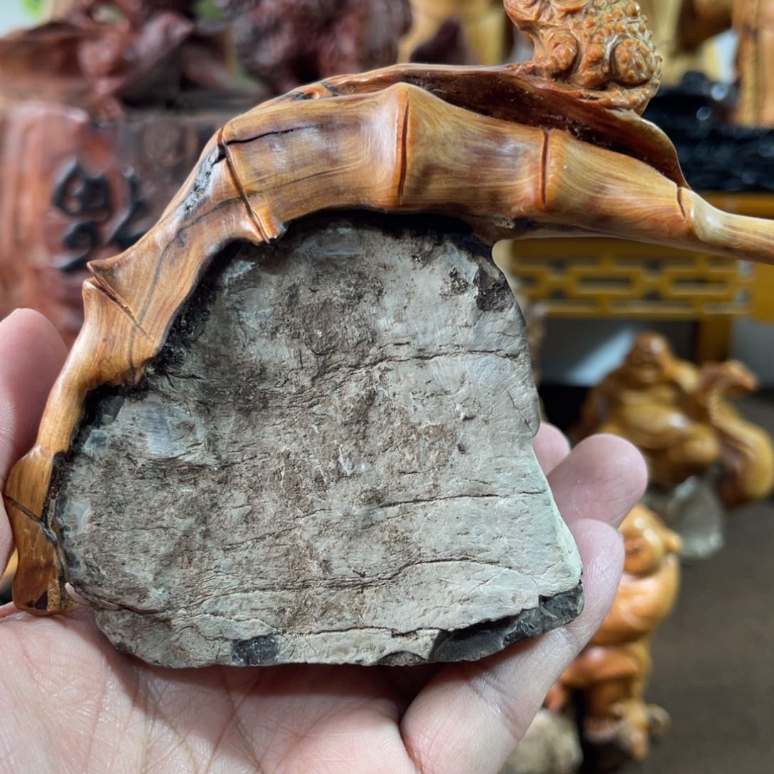 柏木（崖柏）太行大峡谷88888