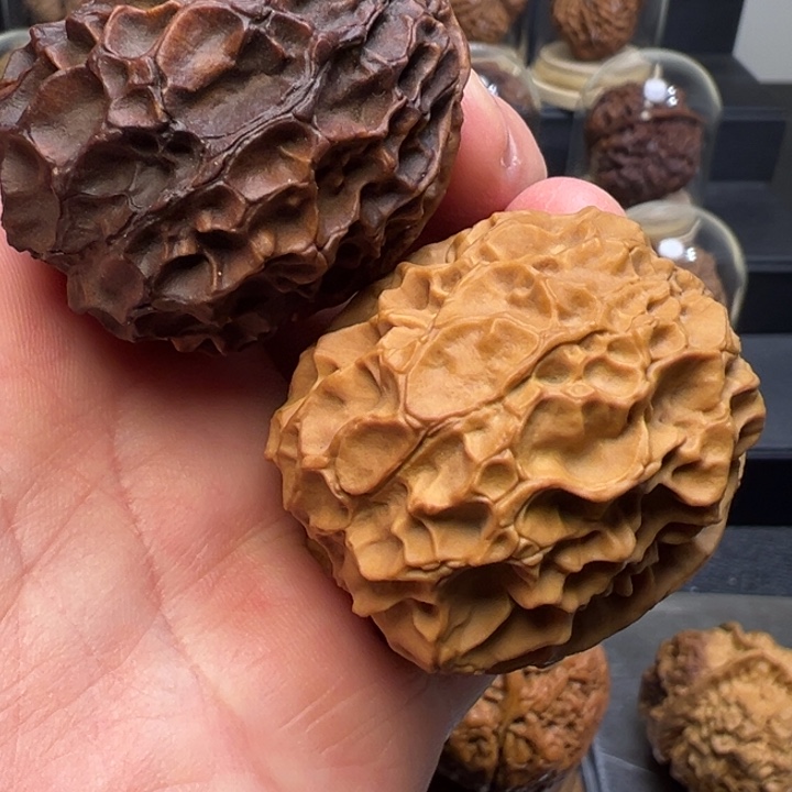 文玩核桃把件凤凰牡丹46mm