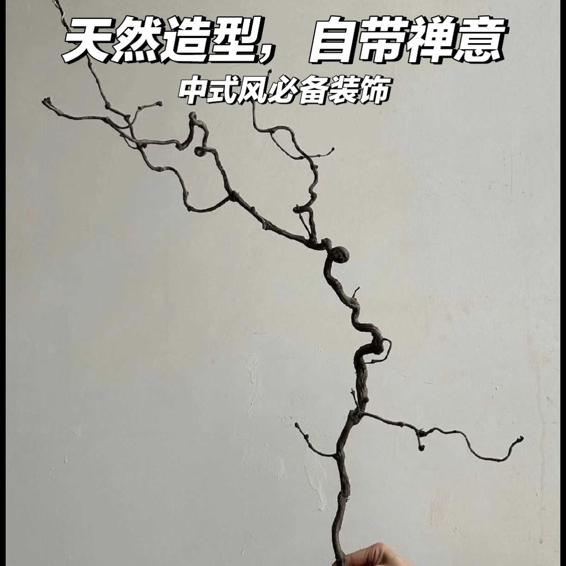 天然弯曲龙枣干枝适合中式花艺造景及家居装饰