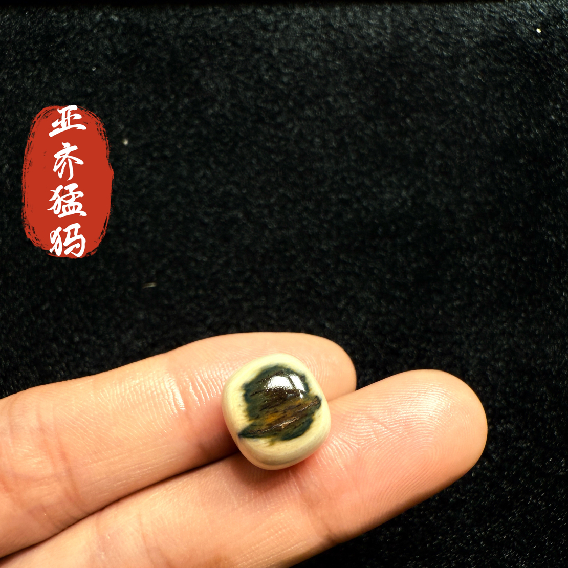 Y32猛犸象牙冰料蓝眼睛老型12.6*11.4